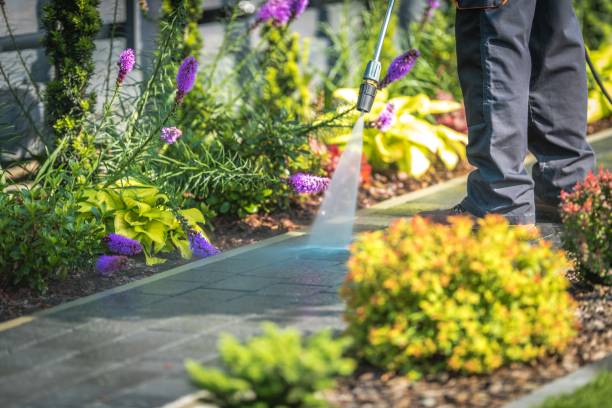 Best Driveway Pressure Washing  in Blackhawk, CA